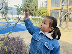 嗨，春天，你好