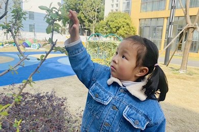 嗨，春天，你好