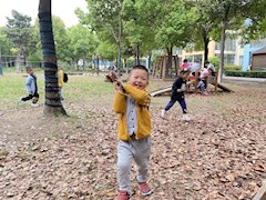 春天在哪里